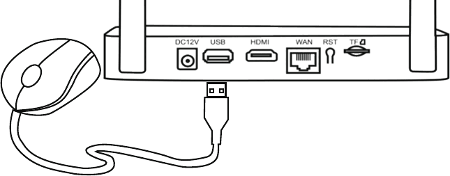 Die USB-Maus in den USB-Anschluss des NVR stecken