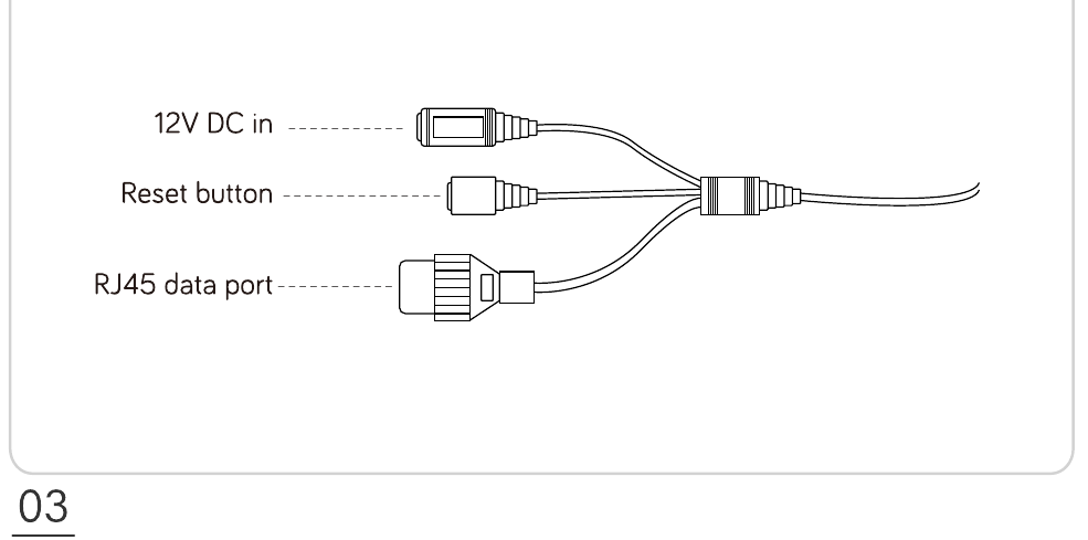 摄像头接口：12V 直流输入、复位按钮和 RJ45 数据接口